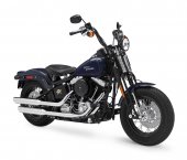 2009 Harley-Davidson FLSTSB Softail Cross Bones photo
